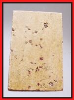 สมเด็จโรยพลอยแดง(2362) #2